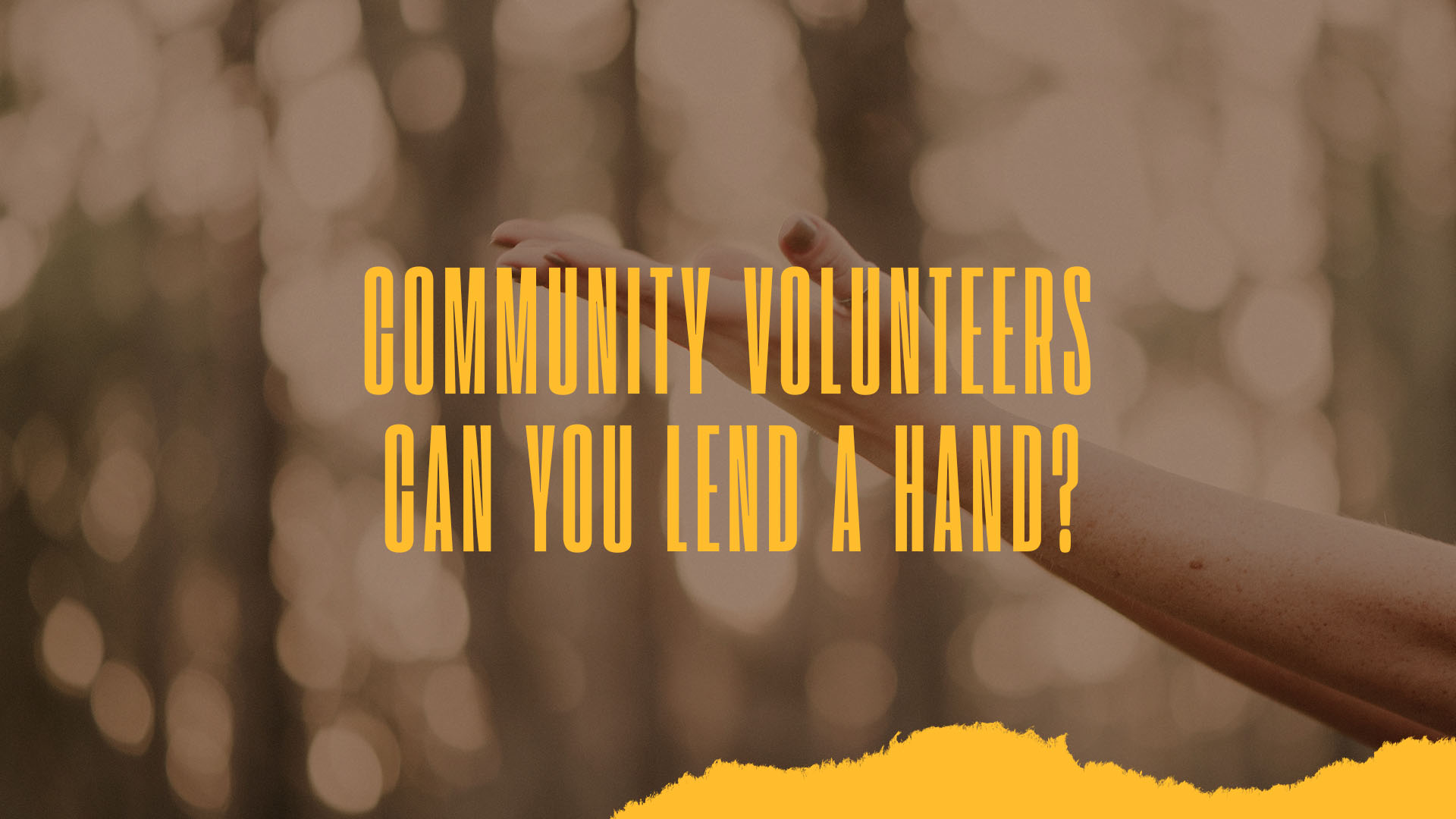 Community volunteers - web